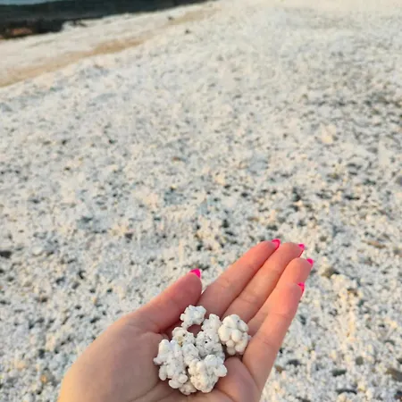 Casa Lena Americas *