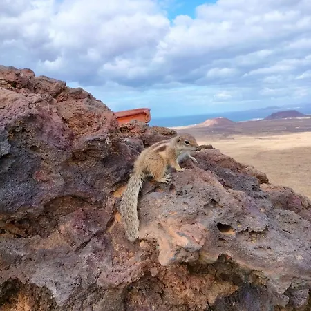 Villa Casa Lena Americas Corralejo