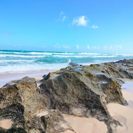 Casa Lena Americas * كوراليهو