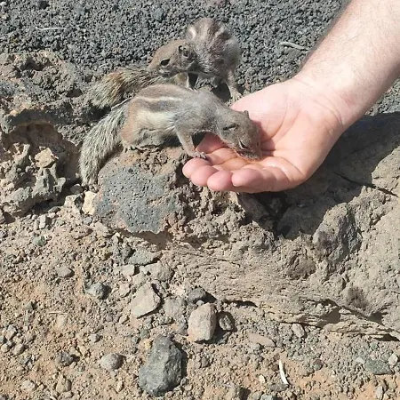 Villa Casa Lena Americas *