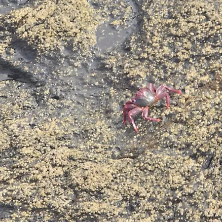 Villa Casa Lena Americas