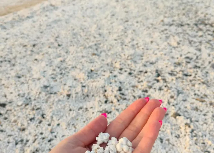 Casa Lena Americas *