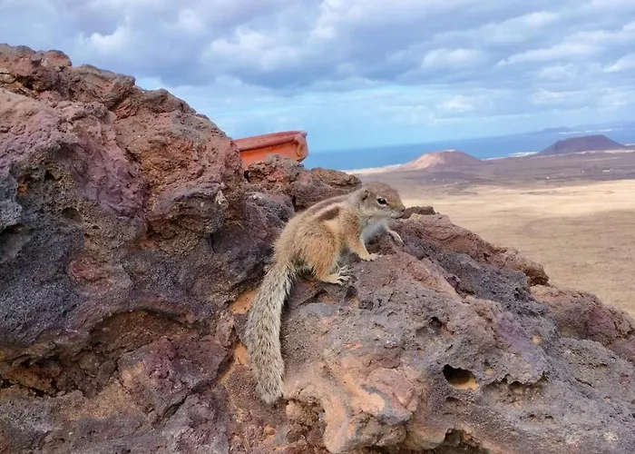 Villa Casa Lena Americas Corralejo