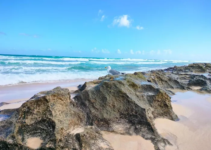 Casa Lena Americas * Corralejo