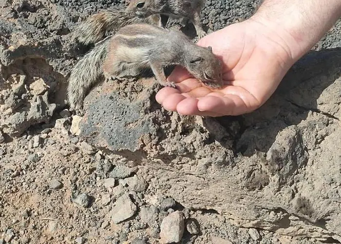 Villa Casa Lena Americas *