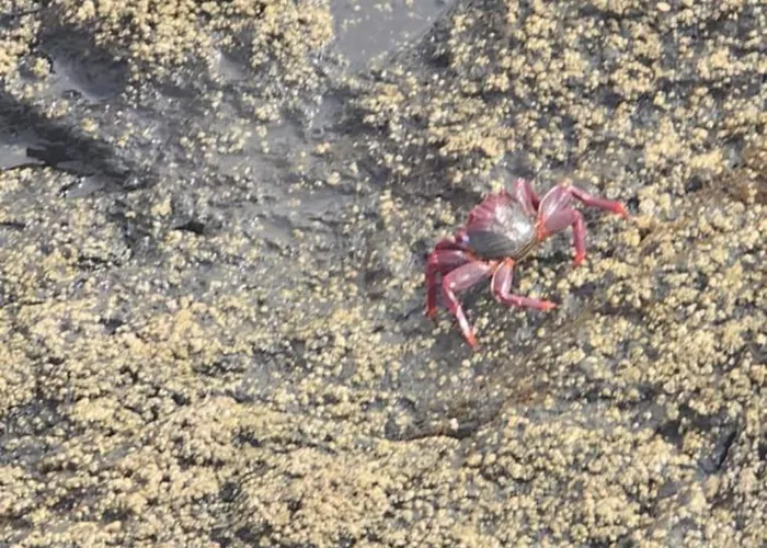 Villa Casa Lena Americas