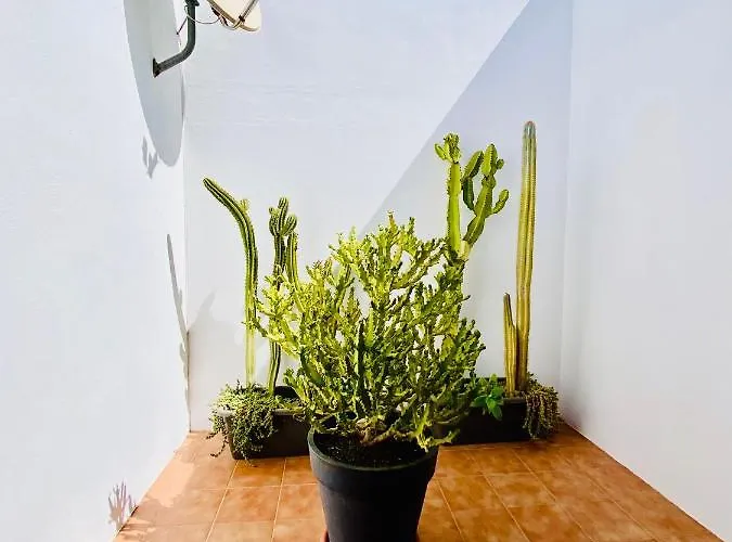 Casa Lena Americas * Corralejo